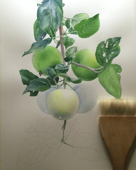 Green Apples