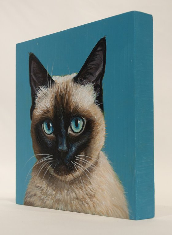 "Siamese Stare — Hyperrealistic Cat Portrait"