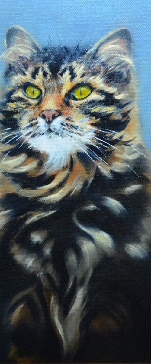Sitting Pretty (Framed) by Denise Mitchell
