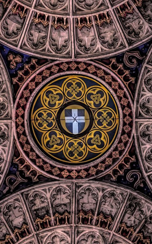 Cathedral Ceiling by Martin  Fry