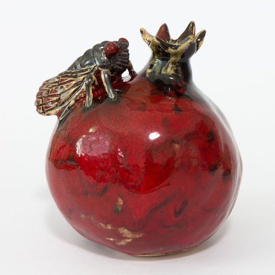 Cicada and pomegranate