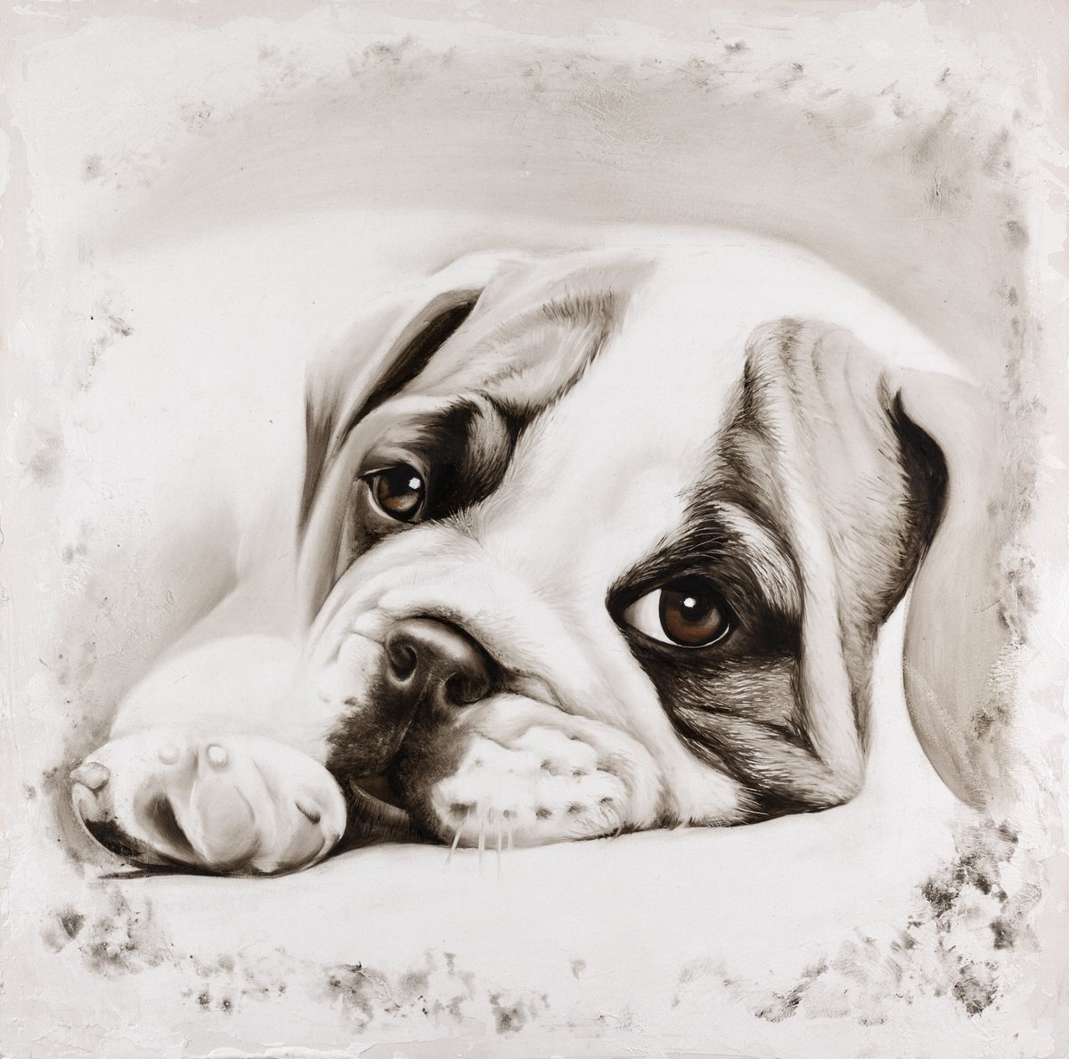 Photorealistic Animal Oil Painting By Nicoletta Bagatti, 24 X 24", Asso, Original Artwork