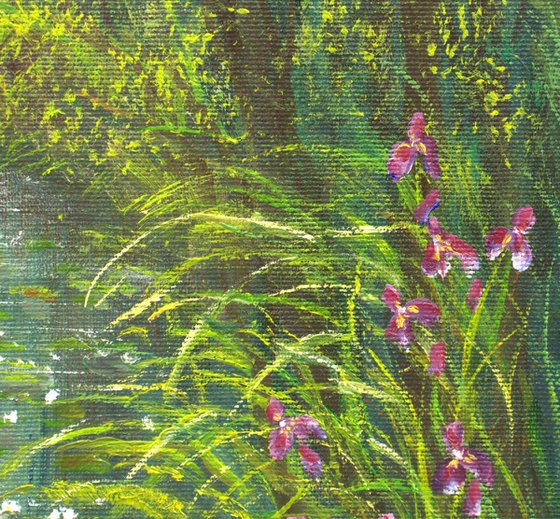 Serene lily pond