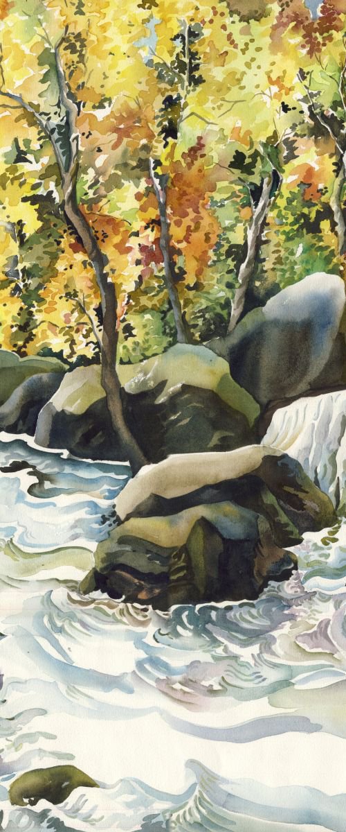 Falling into Autumn by Alfred  Ng