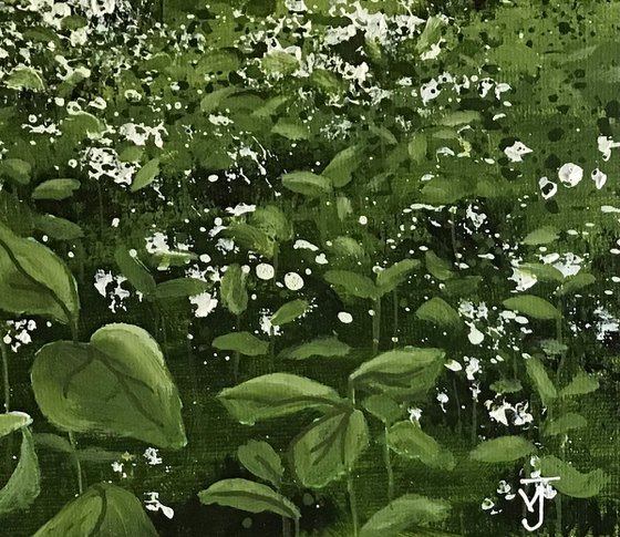 Wild Garlic in the Woods