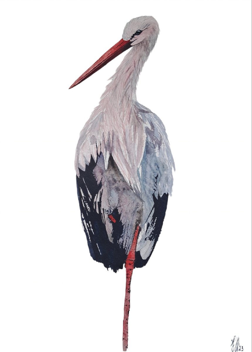 Animal Watercolour By Yuliia Sharapova, 13 X 18", Stork, Original Artwork