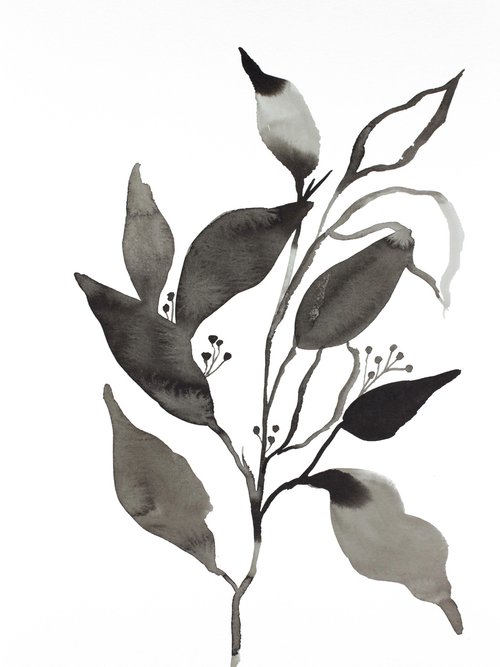 Plant Study No. 76 by Elizabeth Becker