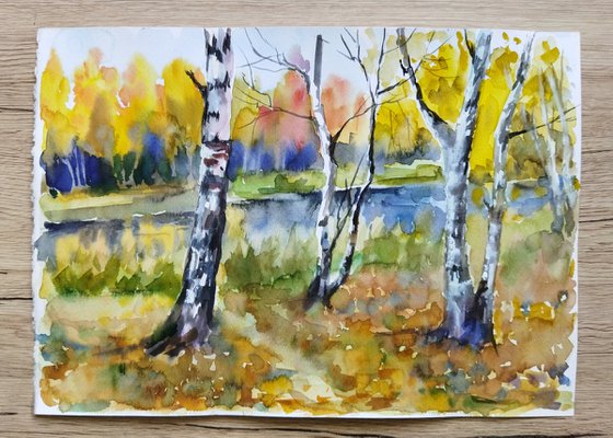 Birch trees