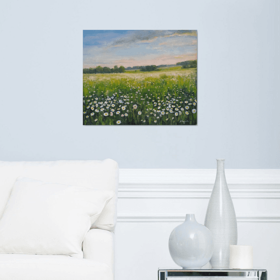 Field of daisies