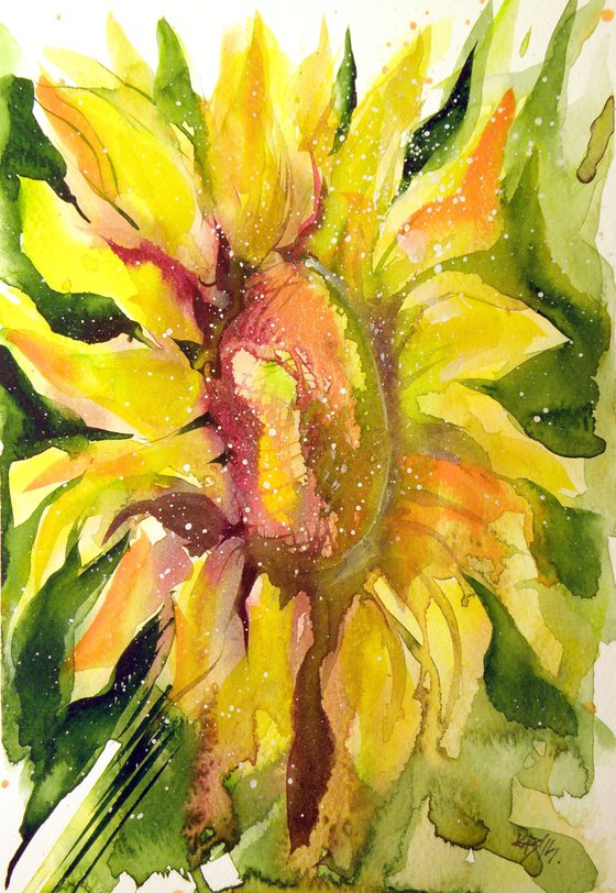 Sunflower