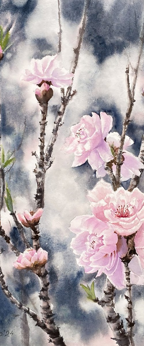 Sacura is  blossoming , pink flowers by Natalia Butenko