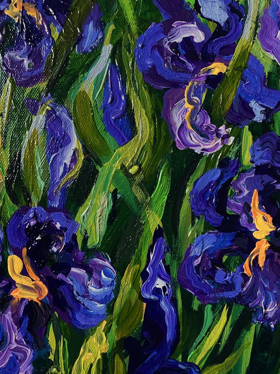 Purple Irises