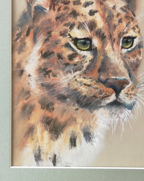 Leopard portrait  (pastel)