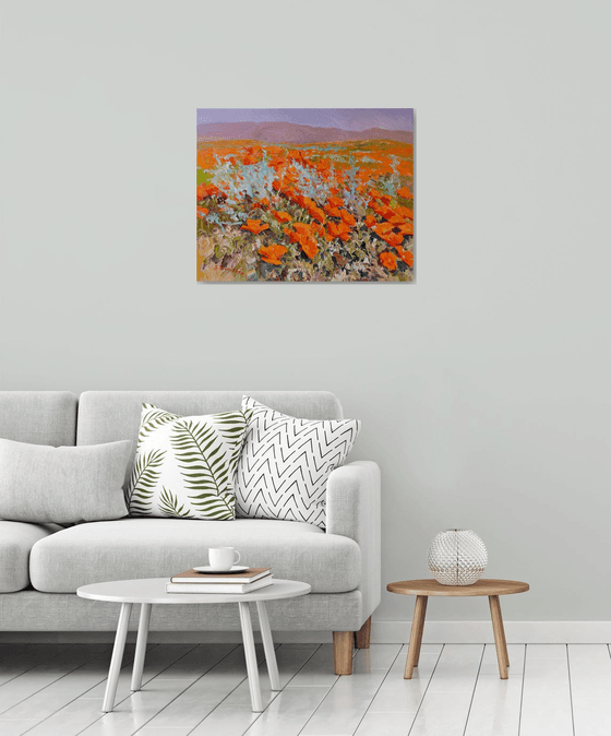 California Poppies