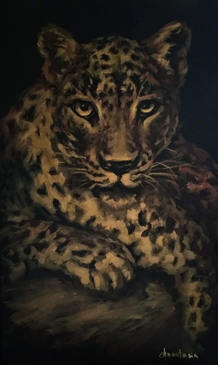 Black and Gold Wild cat Golden eyes Panther by Anastasia Art Line