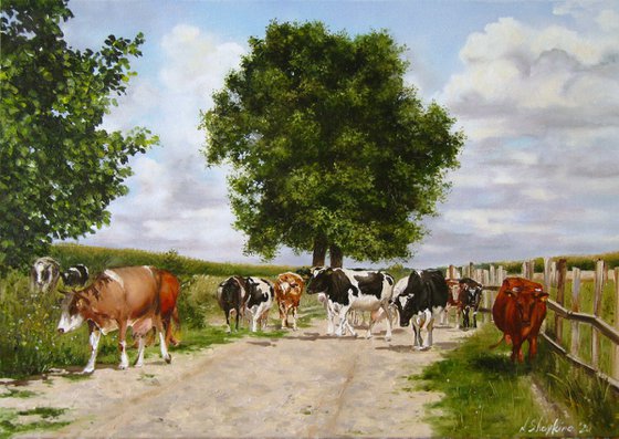 Cow Herd, Pastoral Farm Scene