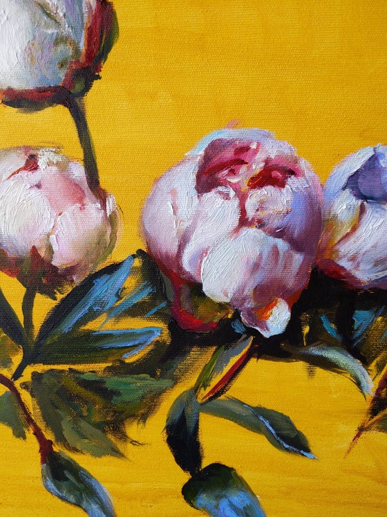 Peonies on the golden yellow