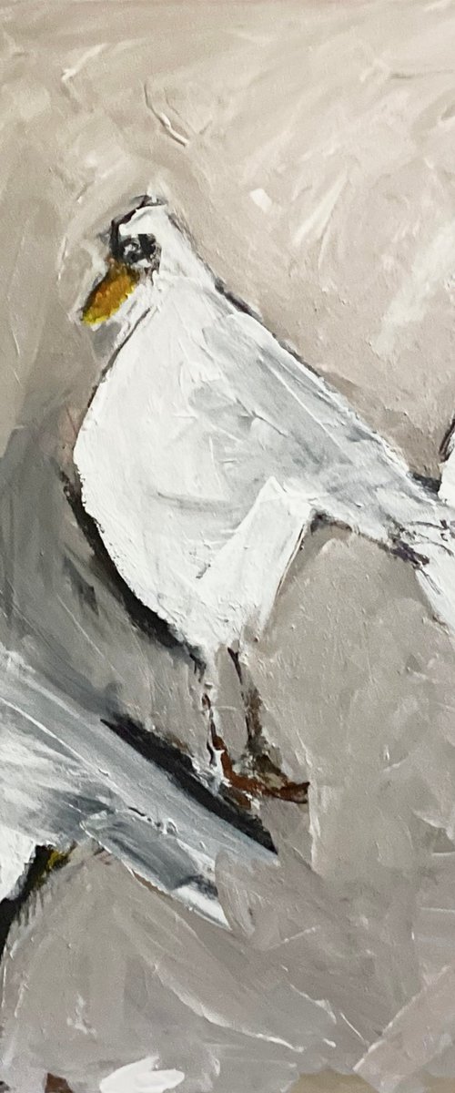 The Gulls by Irene Wilkes