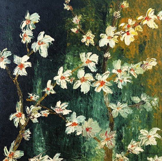 Cherries in bloom