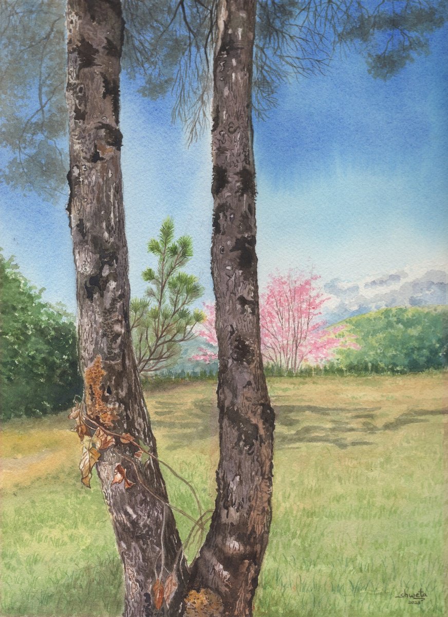 Photorealistic Landscape Watercolour By Shweta Mahajan, 9 X 12", Himalayan Pine Tree, Original Artwork
