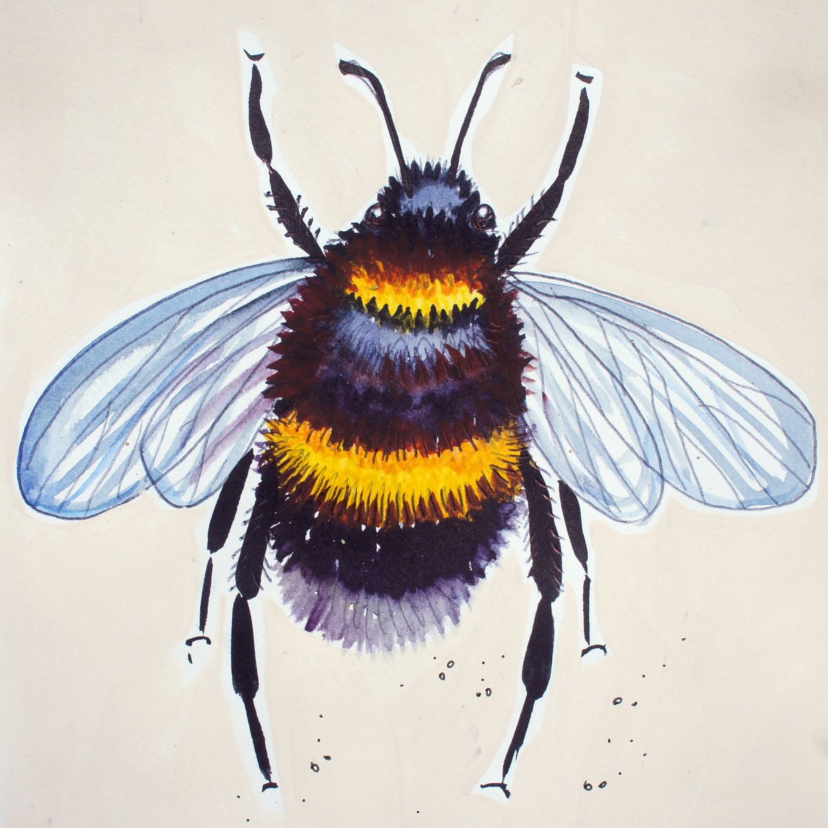 Bee #2 by Julia Rigby