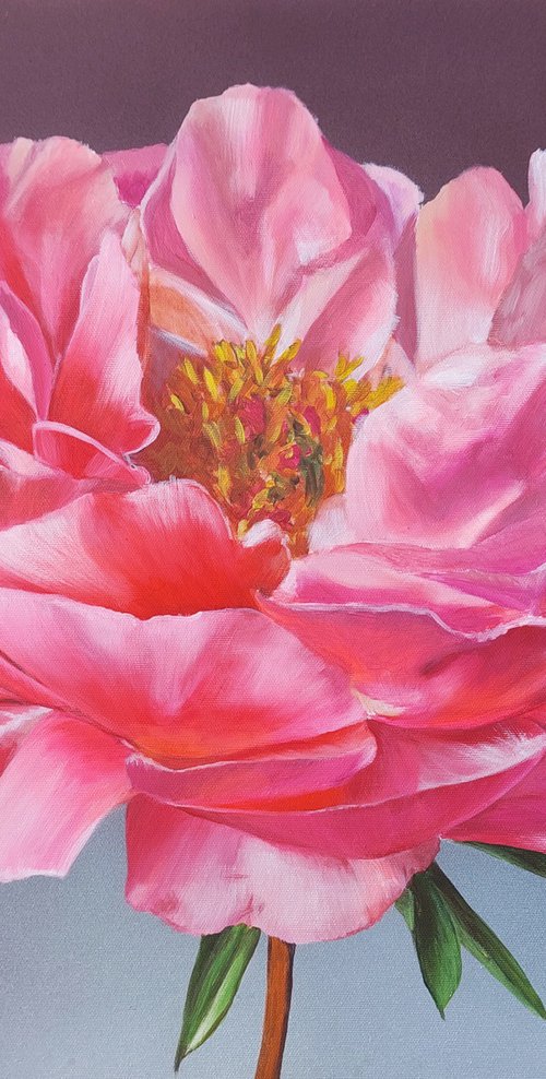 Peonies painting,  flower art, pink Peonies painting,  flowers realism art by Svitlana Brazhnikova