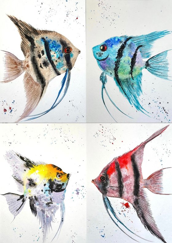 Exotic Trpoical Colorful fish