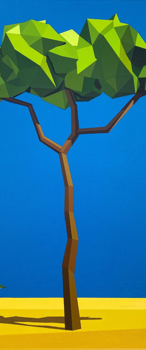 Acacia Africa by Antonio Cruz