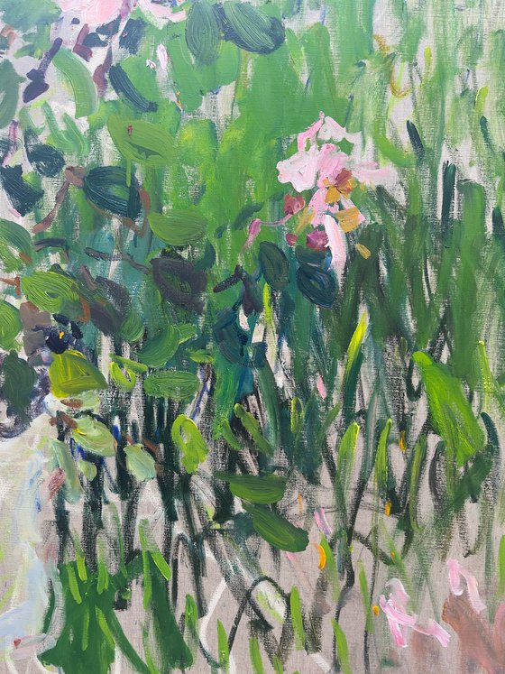 Roses in a summer garden