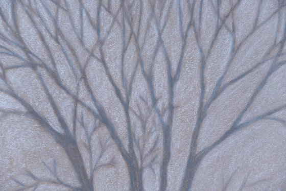 Minimal tree branches