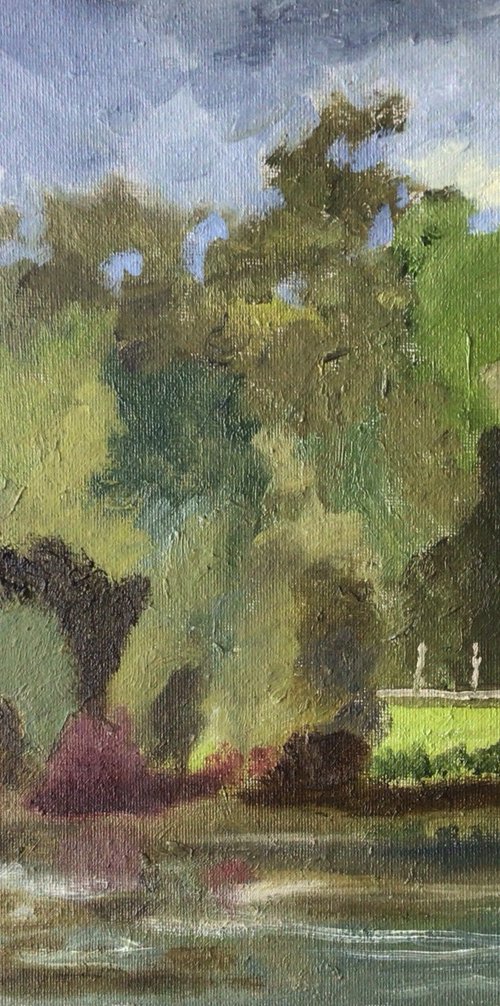 Across the lake, Johnstown by Julian Lovegrove Art