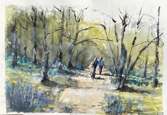 Bluebell woodland…