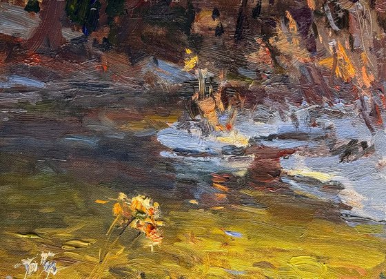 Silent Shore