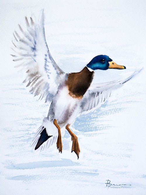 Flying Duck by Olga Shefranov (Tchefranov)
