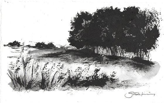 Landscape_240904