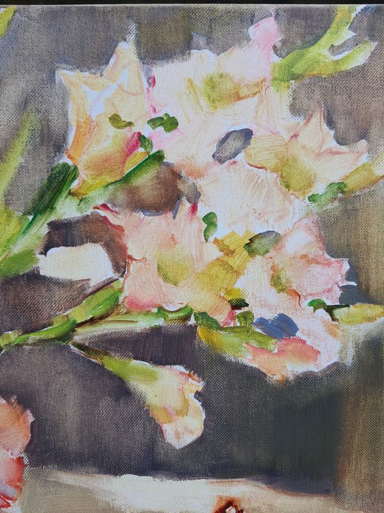 Pomegranate and Gladiolus. Pink tenderness