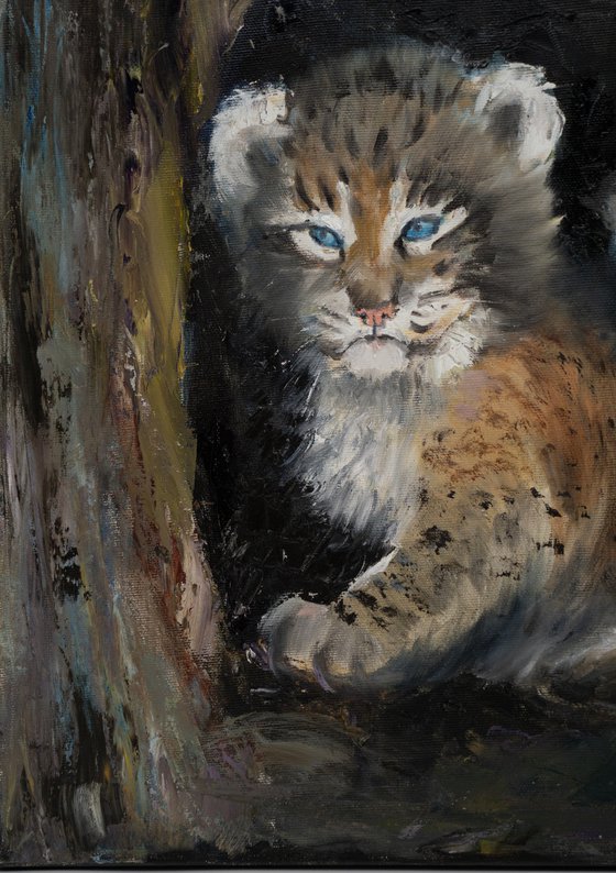 Lynx Cubs