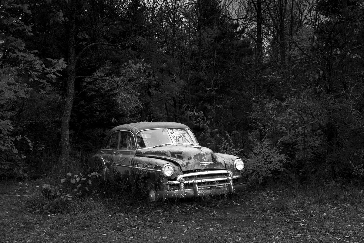 Chevy by Robert Tolchin