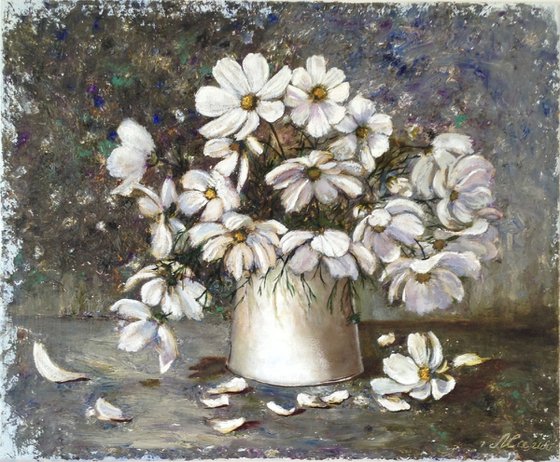 Bouquet of white cosmos