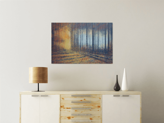 Autumn Trees In Evening Light