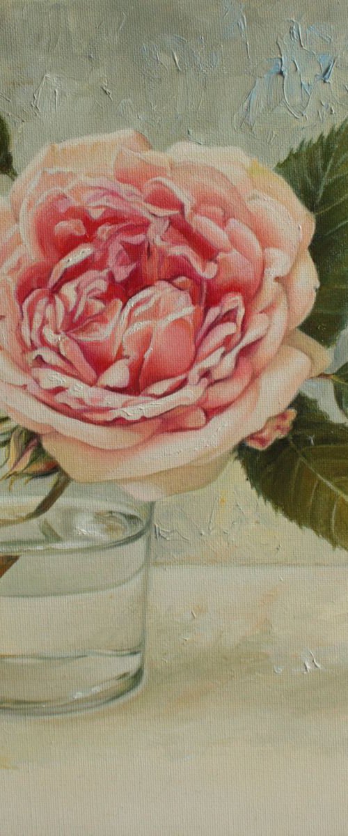 rose in a glass by Julia Diven