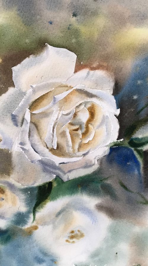 White roses by Eugenia Gorbacheva
