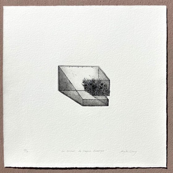 THE MEMORY OF DOMESTIC SPACE