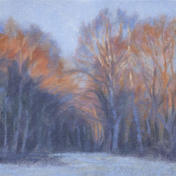 Spring sunlit trees frosty morning original oil painting