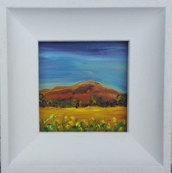 Summer Fields on Bray Head, Wicklow - a mini Irish masterpiece