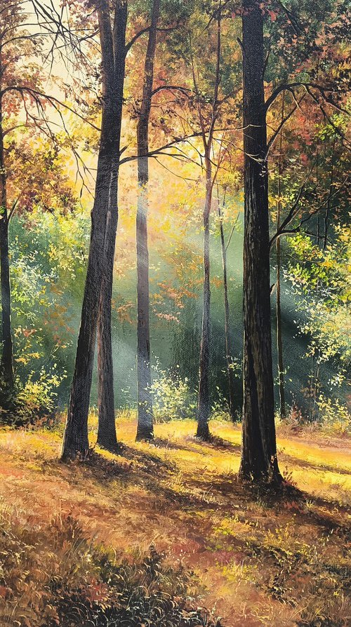 Sunlit Autumn Forest by Sergei Miqaielyan