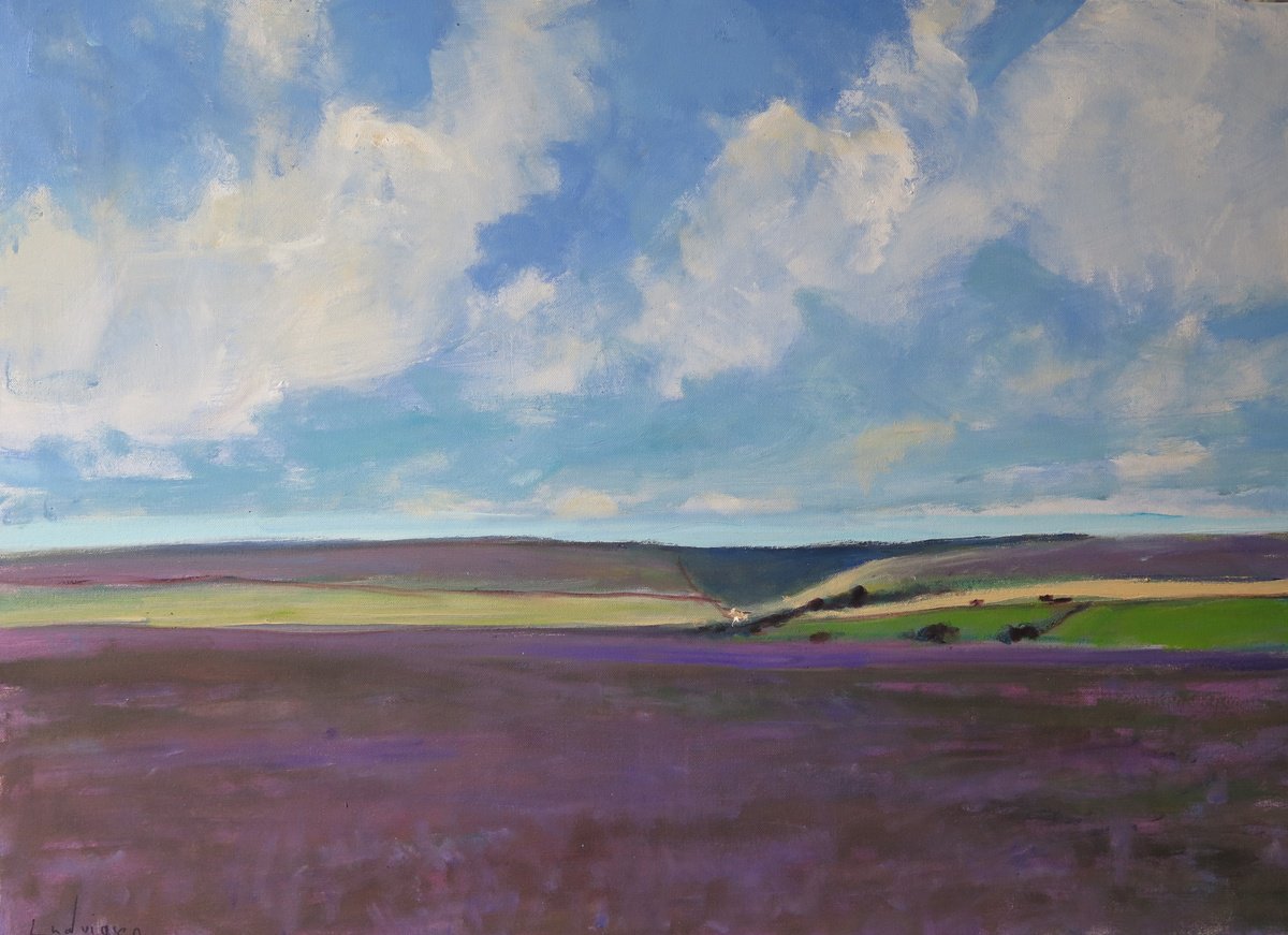 Goathland Heather by Malcolm Ludvigsen