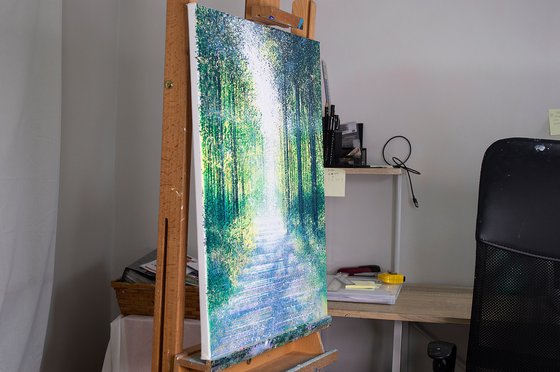 Light In A Spring Forest