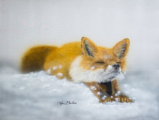 Sleepy fox