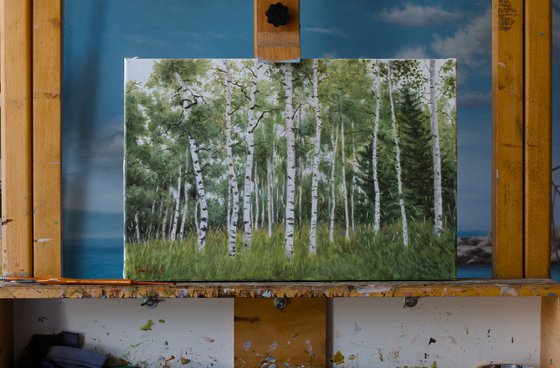 Birch Forest